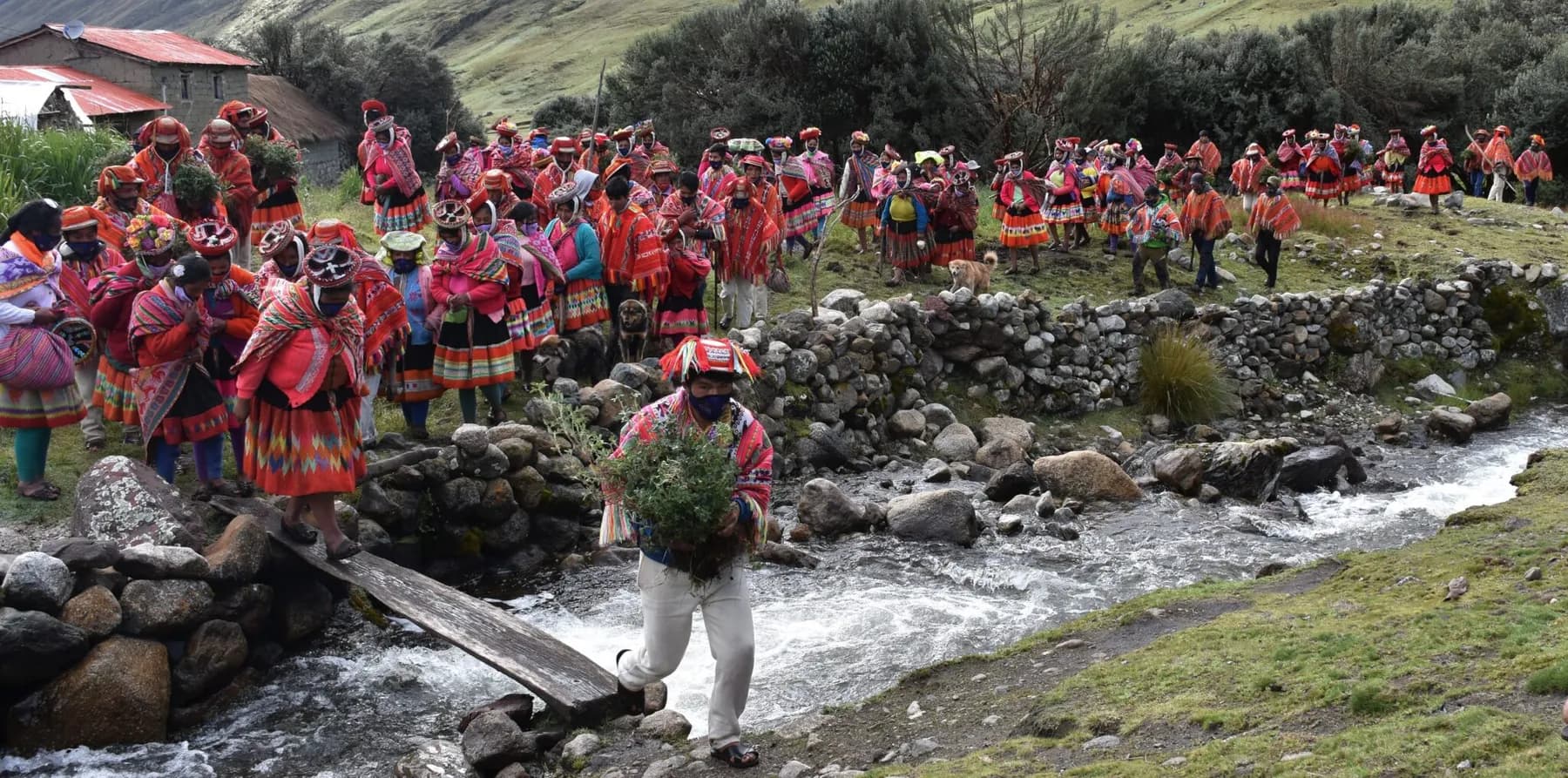 Community members carrying seedlings across a stream in the Andes