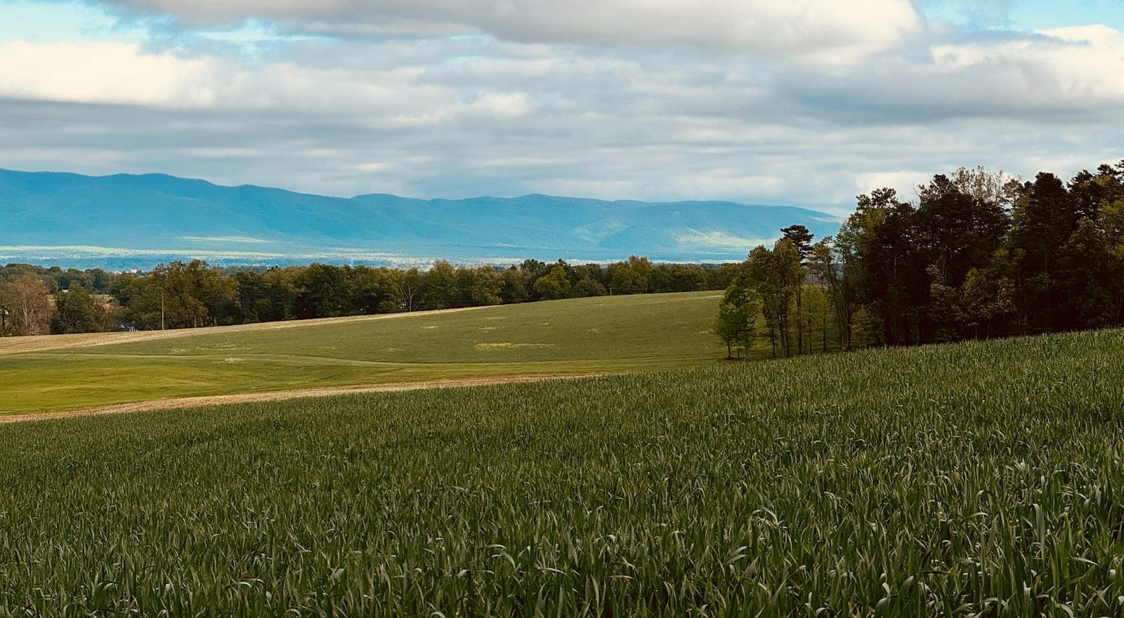 Farmland meeting forest below the Blue Ridge Mountains in Virginia