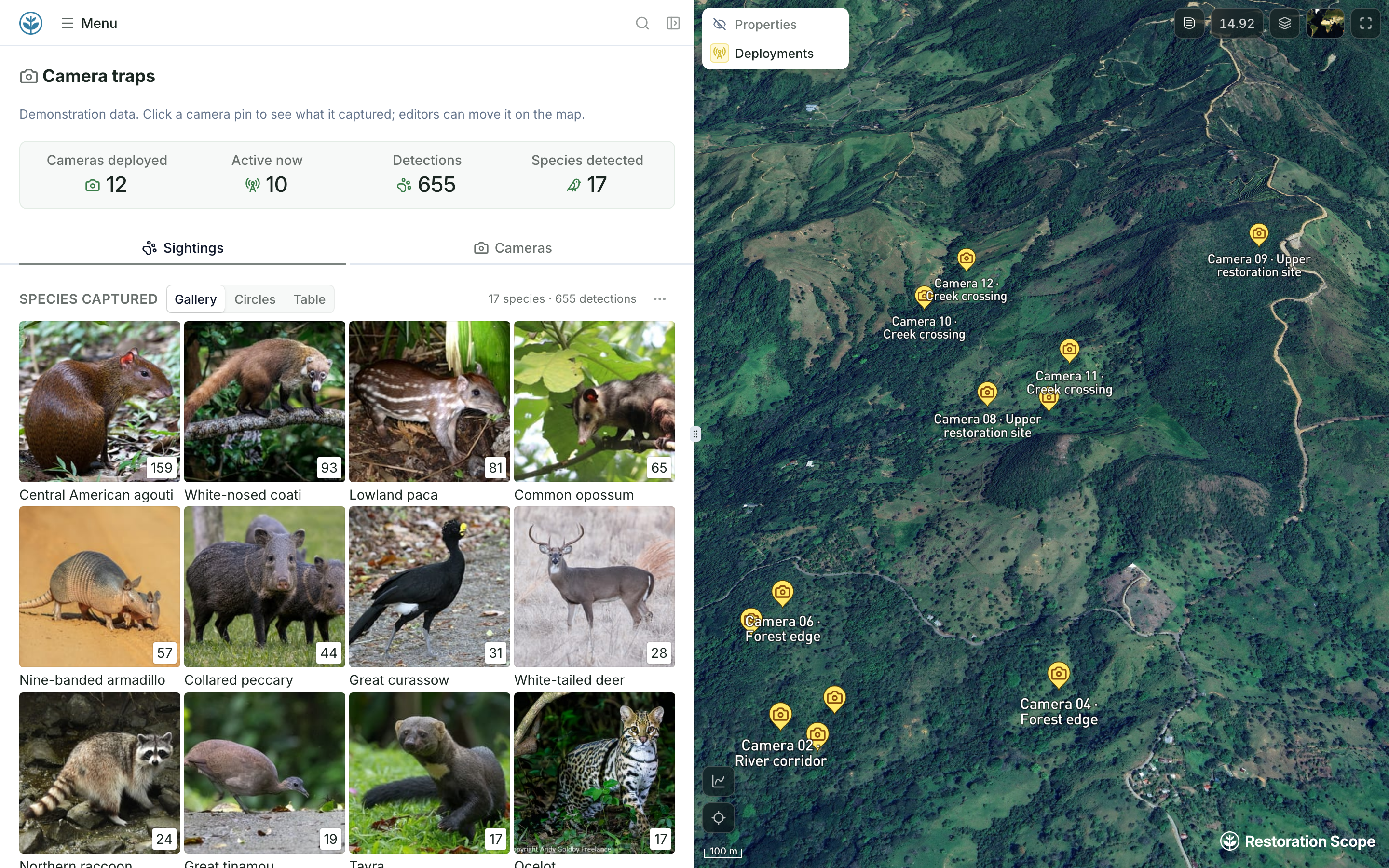Demo camera traps: camera stats and species captured beside twelve camera pins on the terrain map